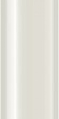TravelSonic Electric Toothbrush (White) TravelSonic Electric Toothbrush (White)