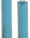 Kenneth Cole New York Urban Naturals Turquoise Rectangle Drop Earrings