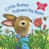 Little Bunny Follows His Nose (Scented Storybook)