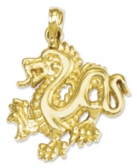 Symbolic for the universe, life, existence, and growth, this polished dragon charm makes a unique and special gift. Crafted in polished 14k gold. Chain not included. Approximate length: 9/10 inch. Approximate width: 7/10 inch. Symbolic for the universe, life, existence, and growth, this polished dragon charm makes a unique and special gift. Crafted in polished 14k gold. Chain not included. Approximate length: 9/10 inch. Approximate width: 7/10 inch.