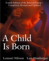 A Child Is Born