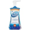 Dial Complete Foaming antibacterial Hand Wash, Original Scent,  7.5-Ounce Bottles (Pack of 8)