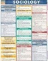 Sociology (Quickstudy Reference Guides - Academic)