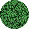 Funfusion Perler Beads Green 1000pc