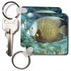 French angelfish, Caribbean - NA02 MDE0021 - Michael DeFreitas - Set Of 2 Key Chains