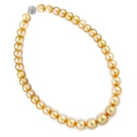 Bling Jewelry 14mm South Sea Shell Golden Pearl Bridal Necklace Bling Jewelry 14mm South Sea Shell Golden Pearl Bridal Necklace