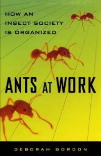 Ants At Work: How An Insect Society Is Organized Ants At Work: How An Insect Society Is Organized