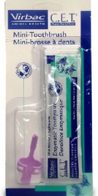 CET Mini Toothbrush with Poultry Toothpaste 12g CET Mini Toothbrush with Poultry Toothpaste 12g