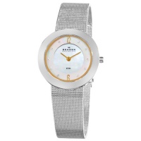 Skagen Women's 892SGS Steel Mother-Of-Pearl Dial Swarovski Crystal Watch Skagen Women's 892SGS Steel Mother-Of-Pearl Dial Swarovski Crystal Watch