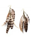 Cinched chinchilla. Ali Khan's mixed metal brass-plated earrings feature mixed stripe chinchilla feathers. Approximate drop: 7 inches.