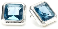 Anne Klein Glen Park Silver-Tone Blue Colored Acrylic Stone Earrings Anne Klein Glen Park Silver-Tone Blue Colored Acrylic Stone Earrings