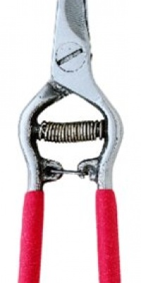 Corona FS 4310 Bonsai & Orchids Mini Shear With Vinyl Coated Steel Handles Corona FS 4310 Bonsai & Orchids Mini Shear With Vinyl Coated Steel Handles