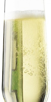 Libbey Vina Stemless 8.5-Ounce Clear Champagne Flute Glass Set, 4-Piece Libbey Vina Stemless 8.5-Ounce Clear Champagne Flute Glass Set, 4-Piece