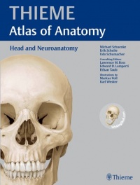 Head and Neuroanatomy (THIEME Atlas of Anatomy) Head and Neuroanatomy (THIEME Atlas of Anatomy)