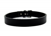 1 Wide Plain Black Leather Choker 1 Wide Plain Black Leather Choker