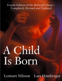 A Child Is Born A Child Is Born