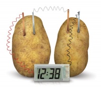 4M Potato Clock 4M Potato Clock