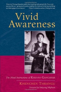 Vivid Awareness: The Mind Instructions of Khenpo Gangshar Vivid Awareness: The Mind Instructions of Khenpo Gangshar
