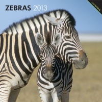 Zebras 2013 Square 12X12 Wall Calendar Zebras 2013 Square 12X12 Wall Calendar