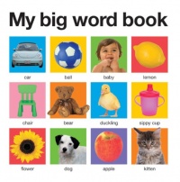 My Big Word Book (casebound) (My Big Board Books) My Big Word Book (casebound) (My Big Board Books)