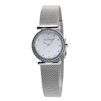 Skagen Women's 108SSS1 Silver Dial Swarovski Elements Watch Skagen Women's 108SSS1 Silver Dial Swarovski Elements Watch