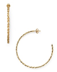 The hoop earring is a have-forever jewel box staple, and this pair from Melinda Maria is sure to shine on, crafted of 14-karat gold plate with delicate pod stations. The hoop earring is a have-forever jewel box staple, and this pair from Melinda Maria is sure to shine on, crafted of 14-karat gold plate with delicate pod stations.