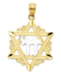 Honor your faith. This intricate charm features the Star of David in 14k gold, as well as a Chai symbol in sterling silver. Chain not included. Approximate length: 1-1/10 inches. Approximate width: 7/10 inch. Honor your faith. This intricate charm features the Star of David in 14k gold, as well as a Chai symbol in sterling silver. Chain not included. Approximate length: 1-1/10 inches. Approximate width: 7/10 inch.