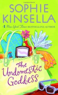 The Undomestic Goddess The Undomestic Goddess