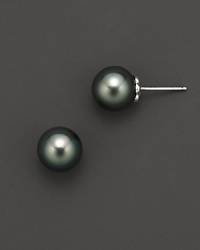 Cultured Tahitian pearl stud earrings. Cultured Tahitian pearl stud earrings.