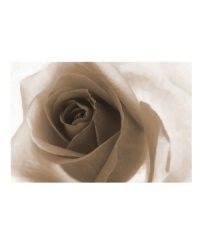 Get a rosier perspective with Leftbank's impressive canvas print of a rose in all its stunning detail. The elegant sepia wash compliments many interior styles and color schemes, making this Leftbank print a classic home accent. Get a rosier perspective with Leftbank's impressive canvas print of a rose in all its stunning detail. The elegant sepia wash compliments many interior styles and color schemes, making this Leftbank print a classic home accent.