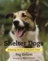 Shelter Dogs: Amazing Stories of Adopted Strays