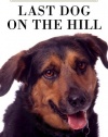 Last Dog on the Hill: The Extraordinary Life of Lou
