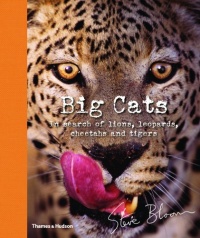 Big Cats: In Search of Lions, Leopards, Cheetahs, and Tigers Big Cats: In Search of Lions, Leopards, Cheetahs, and Tigers