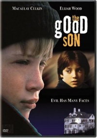 The Good Son The Good Son