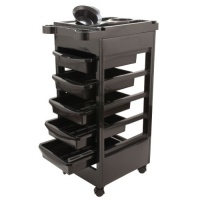 Salon SPA Trolley Storage Cart Coloring Beauty Salon Rollabout Hair Dryer Holder Salon SPA Trolley Storage Cart Coloring Beauty Salon Rollabout Hair Dryer Holder