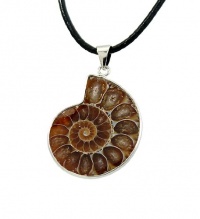 Natural Ammonite Fossil Seashell Silver Tone Pendants 18 Leather Necklace