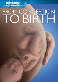 From Conception to Birth From Conception to Birth