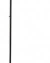 Adesso 7500-01 Aries 73-Inch Torchiere-Style Incandescent Floor Lamp, Black