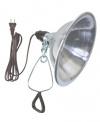 Woods 0151 18/2-Gauge SPT-2 Clamp Lamp with Reflector, 8.5-Inch, 150-Watt, 6-Foot