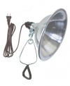 Woods 0151 18/2-Gauge SPT-2 Clamp Lamp with Reflector, 8.5-Inch, 150-Watt, 6-Foot