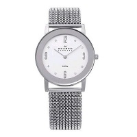 Skagen Women's 39LSSS1 Steel Stainless Steel Stretch Mesh Watch Skagen Women's 39LSSS1 Steel Stainless Steel Stretch Mesh Watch