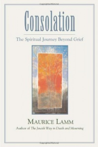 Consolation: The Spiritual Journey Beyond Grief Consolation: The Spiritual Journey Beyond Grief