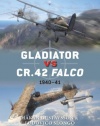 Gladiator vs CR.42 Falco: 1940-41 (Duel)
