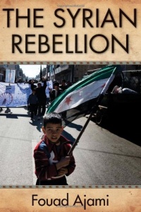 The Syrian Rebellion The Syrian Rebellion