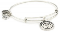 Alex and Ani Bangle Bar Turn Peace Up Russian-Silver Expandable Bracelet Alex and Ani Bangle Bar Turn Peace Up Russian-Silver Expandable Bracelet