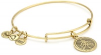 Alex and Ani Bangle Bar Seven Swords Expandable Wire Bracelet Alex and Ani Bangle Bar Seven Swords Expandable Wire Bracelet