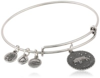 Alex and Ani Bangle Bar Zodiac Bangle Alex and Ani Bangle Bar Zodiac Bangle
