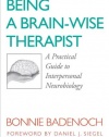 Being a Brain-Wise Therapist: A Practical Guide to Interpersonal Neurobiology (Norton Series on Interpersonal Neurobiology)