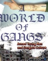 A World of Gangs: Armed Young Men and Gangsta Culture (Globalization and Community)