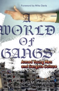 A World of Gangs: Armed Young Men and Gangsta Culture (Globalization and Community) A World of Gangs: Armed Young Men and Gangsta Culture (Globalization and Community)